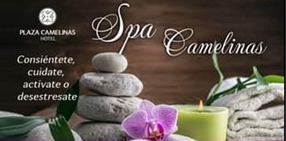 Plaza Camelinas Hotel Керетаро Экстерьер фото